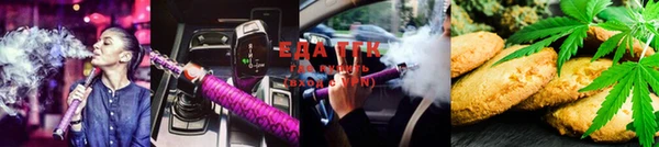 шишки Ельня