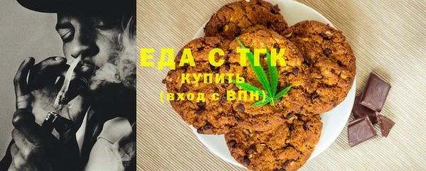 шишки Ельня