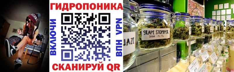 Бошки марихуана конопля  купить закладку  Бабаево 
